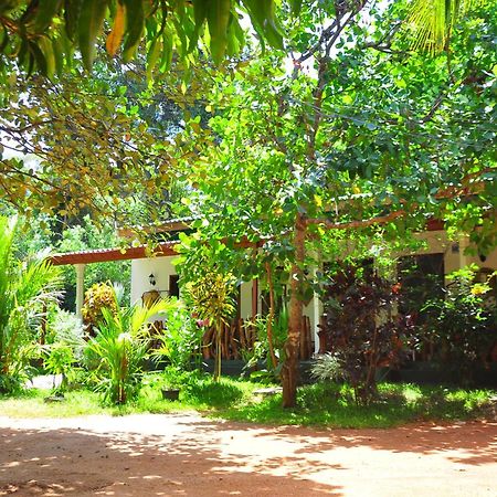 Sigiri Rock Side Home Stay Sigiriya Exterior foto