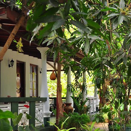 Sigiri Rock Side Home Stay Sigiriya Exterior foto