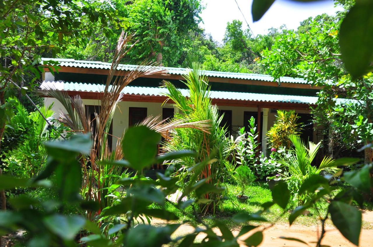 Sigiri Rock Side Home Stay Sigiriya Exterior foto